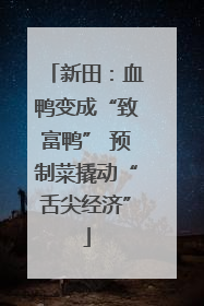 新田：血鸭变成“致富鸭” 预制菜撬动“舌尖经济”